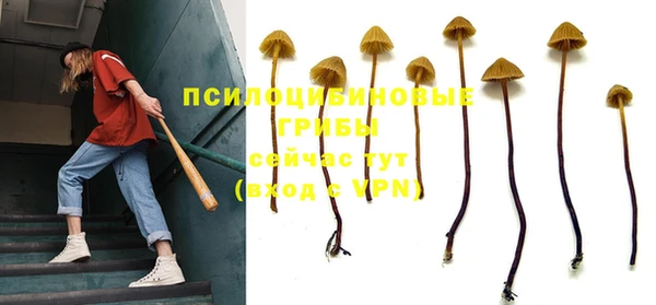 бошки Михайлов