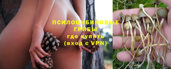 тгк Михайловск